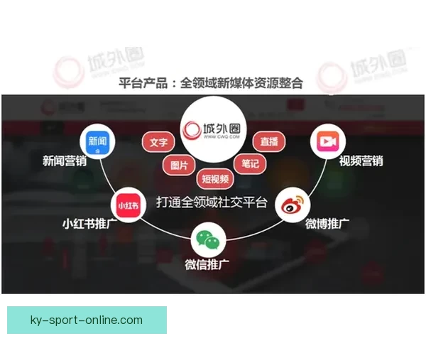 世界杯买球策略深度解析与数据趋势全面指南